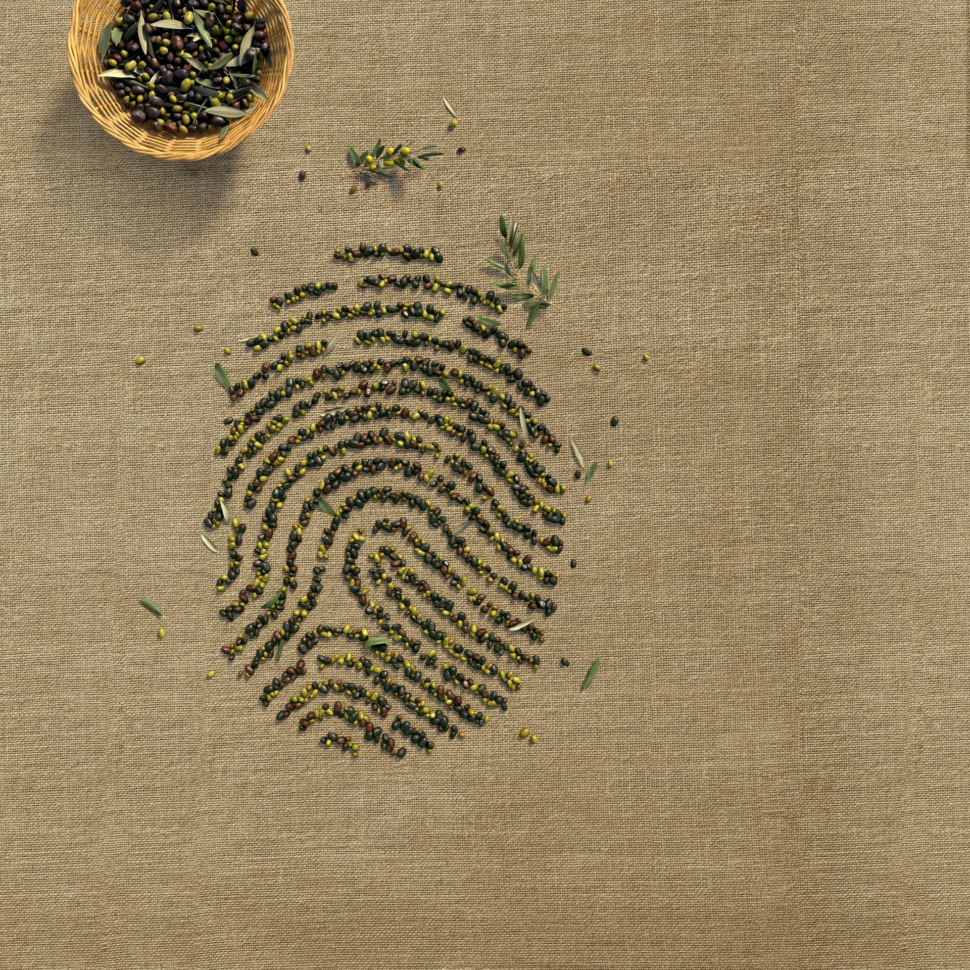 Visual for Piraeus Bank Group Cultural Foundation
