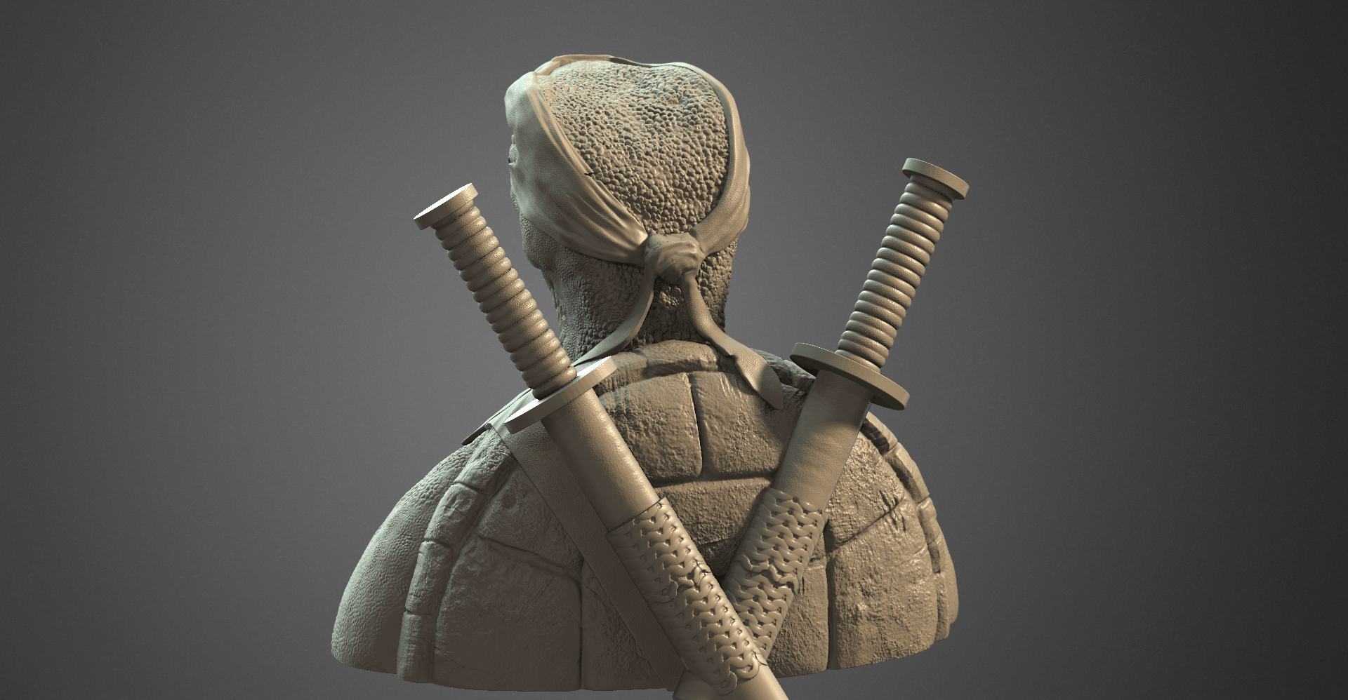 Turtle_09_6